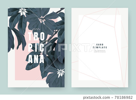 Tropical plant invitation card template design, dark green Schefflera arboricola or umbrella tree 78186982