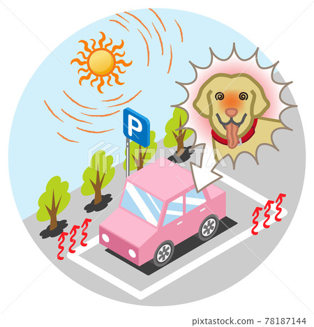 Labrador retriever left in the car in midsummer 78187144