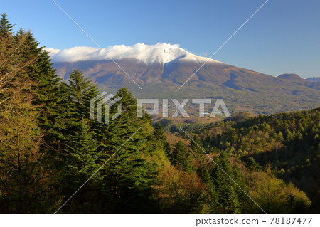 淺間山，新鮮的綠色輕井澤 78187477