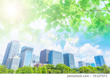Skyscrapers and young leaves 78187975
