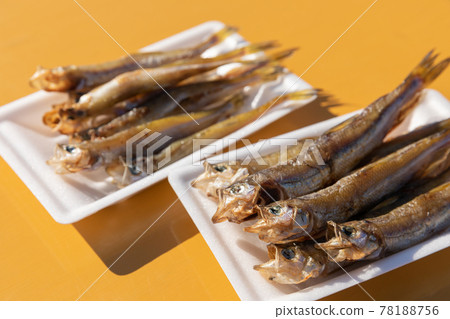 Hokkaido_Mukawa Town Shishamo Festival 78188756