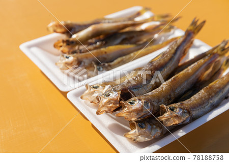 Hokkaido_Mukawa Town Shishamo Festival 78188758