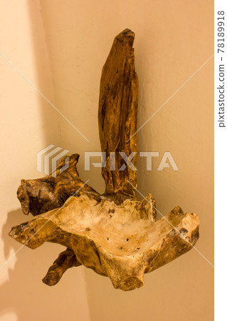 old tree in vintage toilet old tree in vintage toilet 78189918