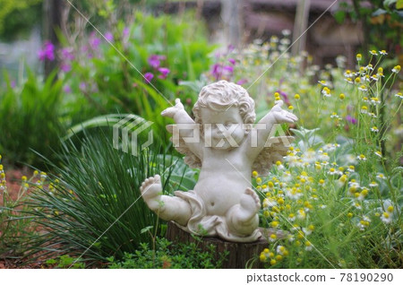 Angel's garden 78190290