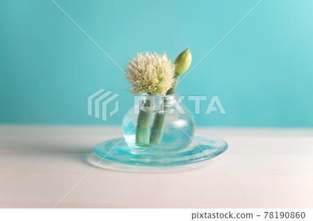 Negibouzu and glassware Negibouzu and glassware 78190860