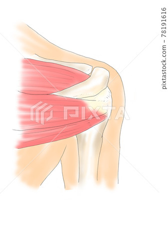 Behind the shoulder joint 78191616