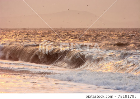 Waves and surf in the sunset Waves and surf in the sunset 78191793