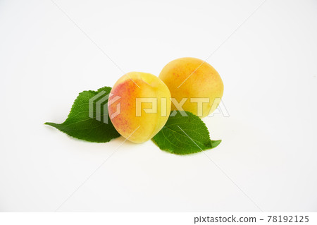 白色背景的李子果實 78192125