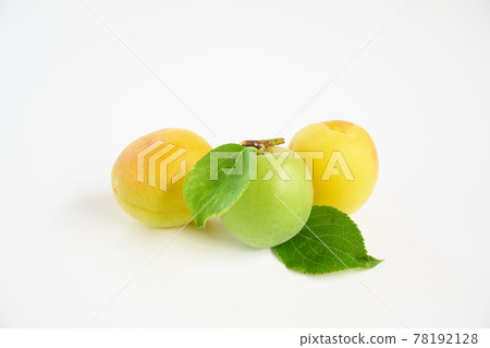 Plum fruit with white background Plum fruit with white background 78192128