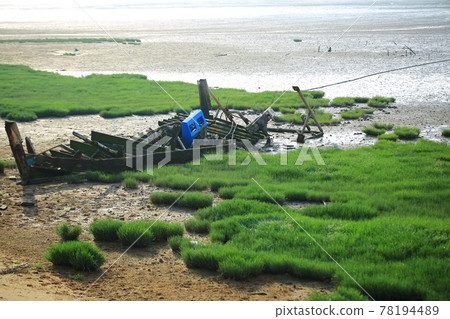 Beach with abandoned ships Beach with abandoned ships 78194489