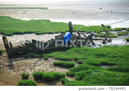 Beach with abandoned ships Beach with abandoned ships 78194491