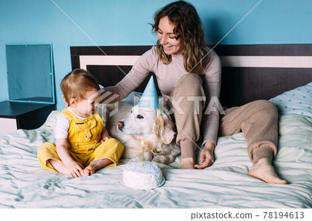 Labrador golden retriever with little child celebrate birthday with cake Labrador golden retriever with little child celebrate birthday with cake 78194613