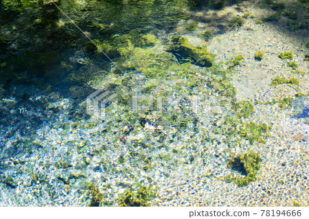 Famous water Shirakawa water source, Shirakawa Yoshimi Shrine, Minamiaso Village, Aso District, Kumamoto Prefecture Famous water Shirakawa water source, Shirakawa Yoshimi Shrine, Minamiaso Village, Aso District, Kumamoto Prefecture 78194666