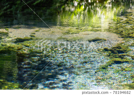 熊本縣阿蘇區南阿蘇村白川吉見神社名水白川水源 78194682