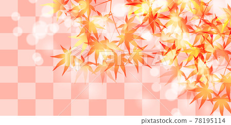  Autumn leaves maple autumn background 78195114