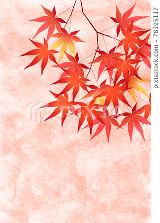 Autumn leaves maple autumn background Autumn leaves maple autumn background 78195117