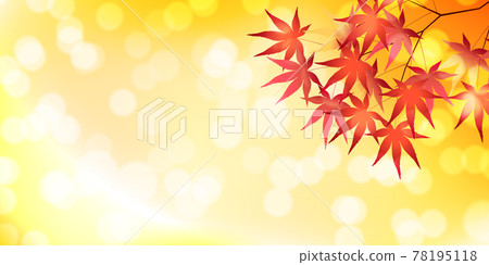  Autumn leaves maple autumn background 78195118
