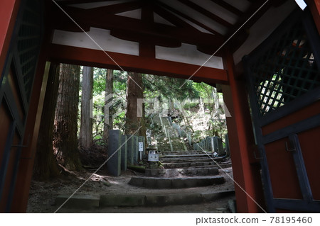 Nikko Niarayama Shrine 78195460