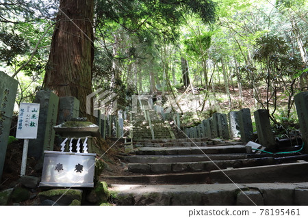 Nikko Niarayama Shrine 78195461