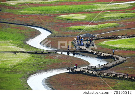 Natural Ecological Park, Sinan Jeungdo Natural Ecological Park, Sinan Jeungdo 78195512