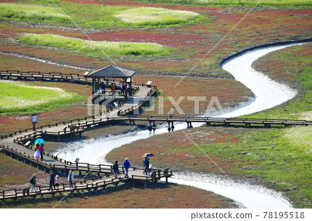 新安曾島自然生態公園 新安曾島自然生態公園 78195518