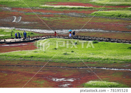 新安曾島自然生態公園 78195528