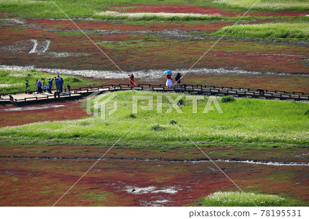 新安曾島自然生態公園 78195531
