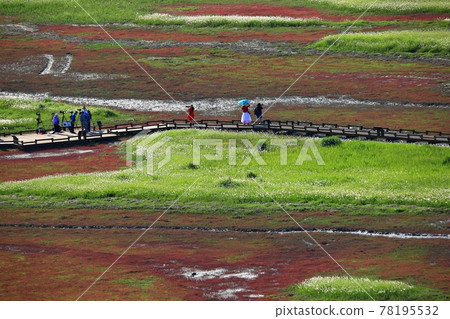 新安曾島自然生態公園 78195532