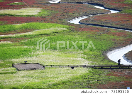 新安曾島自然生態公園 新安曾島自然生態公園 78195536
