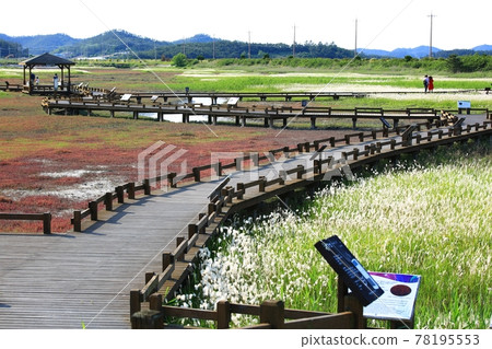 新安曾島自然生態公園 78195553