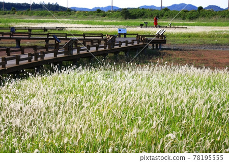 新安曾島自然生態公園 新安曾島自然生態公園 78195555