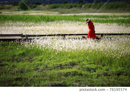 新安曾島自然生態公園 78195574