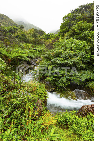 A stream that becomes turbulent during heavy rain 78195709