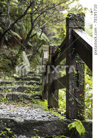 Moss-covered stone steps in the rain 78195710