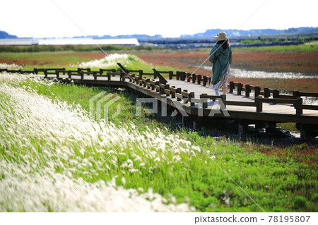 自然生態公園、濕地景觀 自然生態公園、濕地景觀 78195807