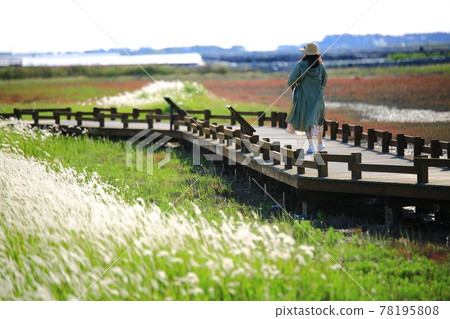 自然生態公園、濕地景觀 78195808