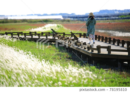 自然生態公園、濕地景觀 78195810