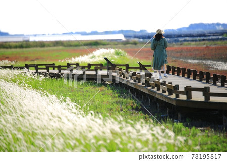 自然生態公園、濕地景觀 78195817