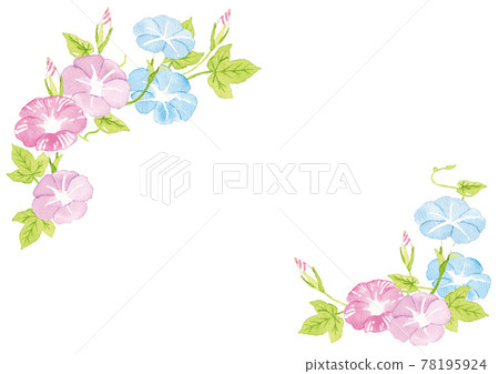 水彩牽牛花框架圖 水彩牽牛花框架圖 78195924