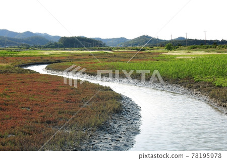 新南曾島海洋生態公園 新南曾島海洋生態公園 78195978