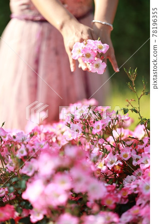 景觀與鮮花，花園 78196355