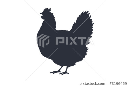 Rooster, chicken, hen, poultry, silhouette. Vintage logo, retro print, poster 78196469