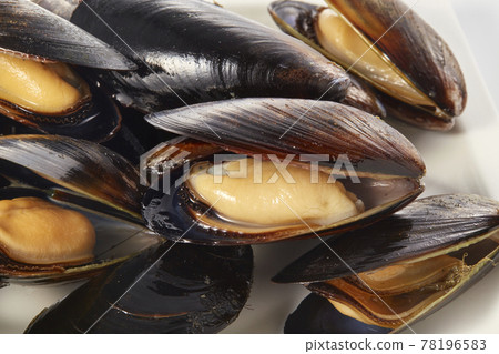 Uncooked raw mussels 78196583
