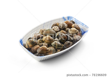 Uncooked clams raw Uncooked clams raw 78196609