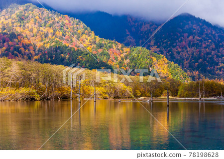 "Nagano Prefecture" Kamikochi, Taisho Pond and autumn leaves "Nagano Prefecture" Kamikochi, Taisho Pond and autumn leaves 78198628