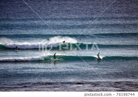 Hawaiian Surfers Paradise Hawaiian Surfers Paradise 78198744