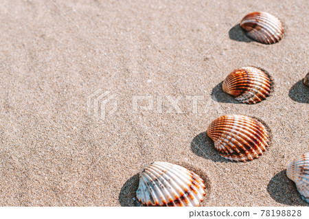 Summer background beach with seashells, starfishes on sand ocean background. Copy space. Road frame set. Summer background beach with seashells, starfishes on sand ocean background. Copy space. Road frame set. 78198828