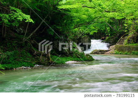 Pleasant mountain stream walking path "Funoshi-no-taki" Akita Prefecture Pleasant mountain stream walking path "Funoshi-no-taki" Akita Prefecture 78199115