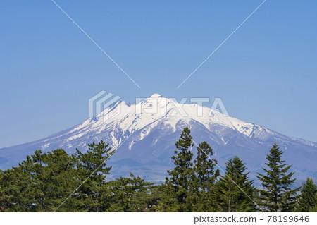 [青森縣] 殘雪的磐城山 78199646