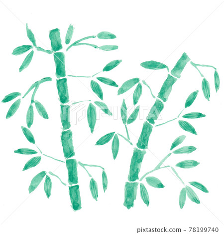 Watercolor illustration of bamboo and bamboo grass Watercolor illustration of bamboo and bamboo grass 78199740